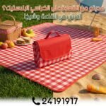 Tapis de Pique-Nique XXL 200 × 200 cm Imperméable et Pliable avec Sac